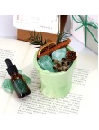 Dried Flower Flameless Aromatherapy Stone