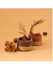 Natural Cinnamon Diffuser Wood