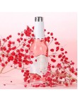 Fresh Citrus Fragrance for Women