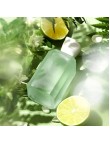 Jasmine & Grapefruit Essence Perfume