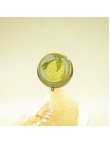 Grapefruit Scented Solid Perfume